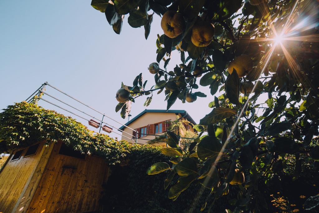 Holiday Home Castanea Praporcan Екстер'єр фото